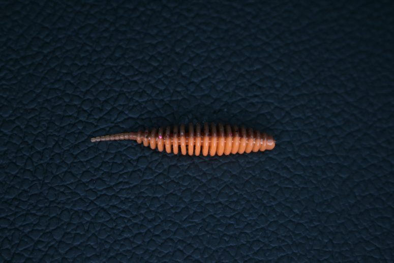 Ripper Troutworm braun orange